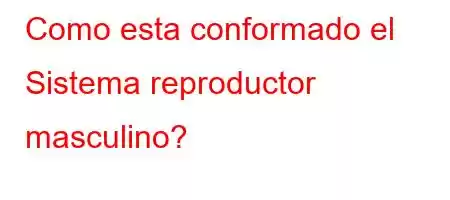 Como esta conformado el Sistema reproductor masculino