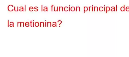 Cual es la funcion principal de la metionina