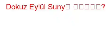 Dokuz Eylül Suny는 무엇입니까?