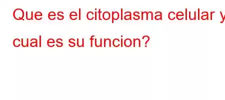 Que es el citoplasma celular y cual es su funcion?