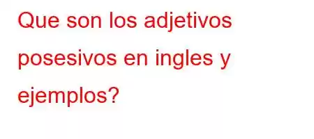 Que son los adjetivos posesivos en ingles y ejemplos?