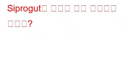 Siprogut는 얼마나 오래 사용해야 하나요?