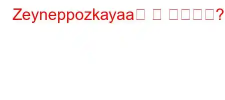 Zeyneppozkayaa는 몇 살입니까?